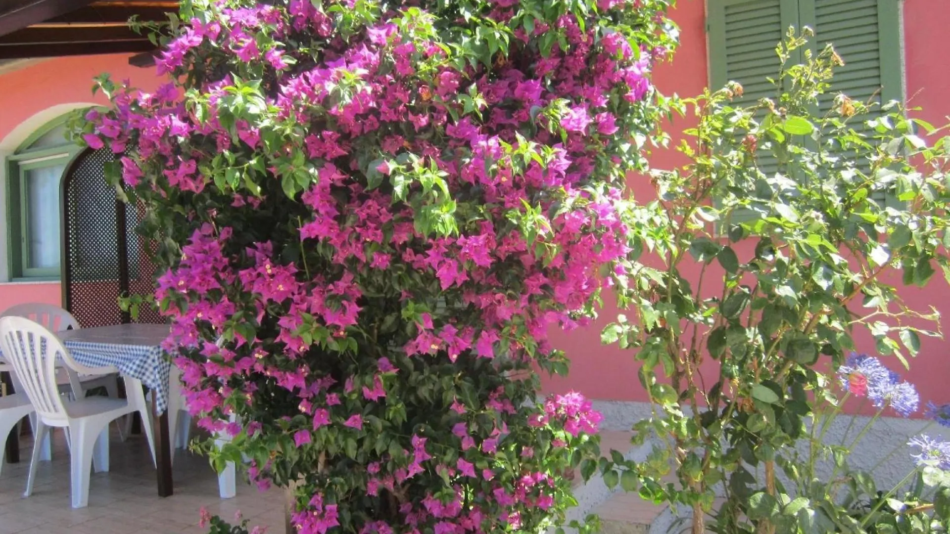 Ferienwohnung In Capoliveri Mit Schoenem Garten Capoliveri (Isola d'Elba)